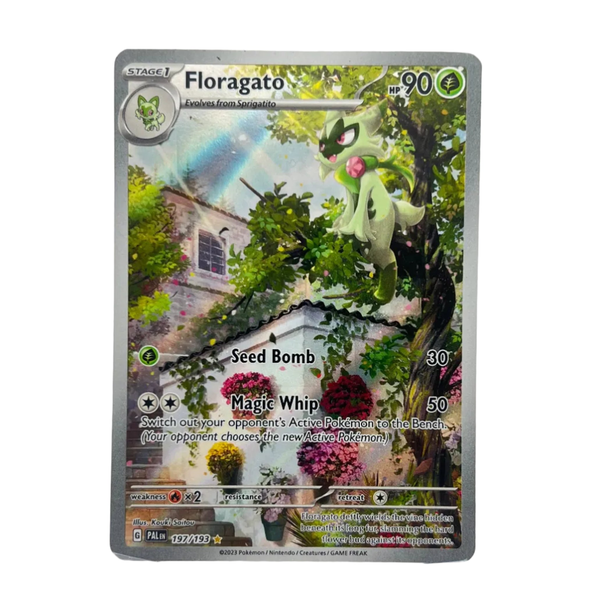 Floragato - 197/193