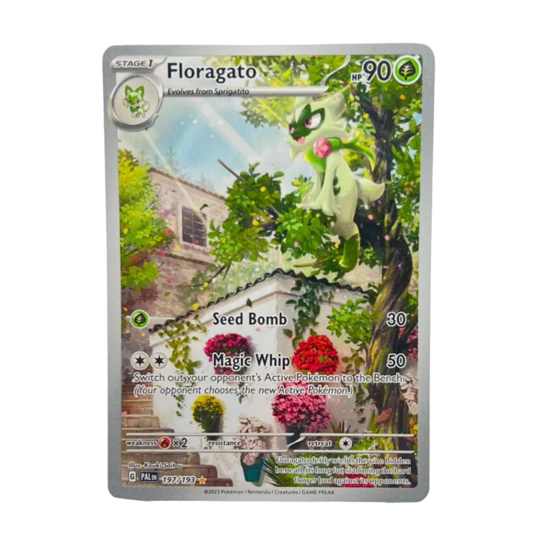 Floragato - 197/193