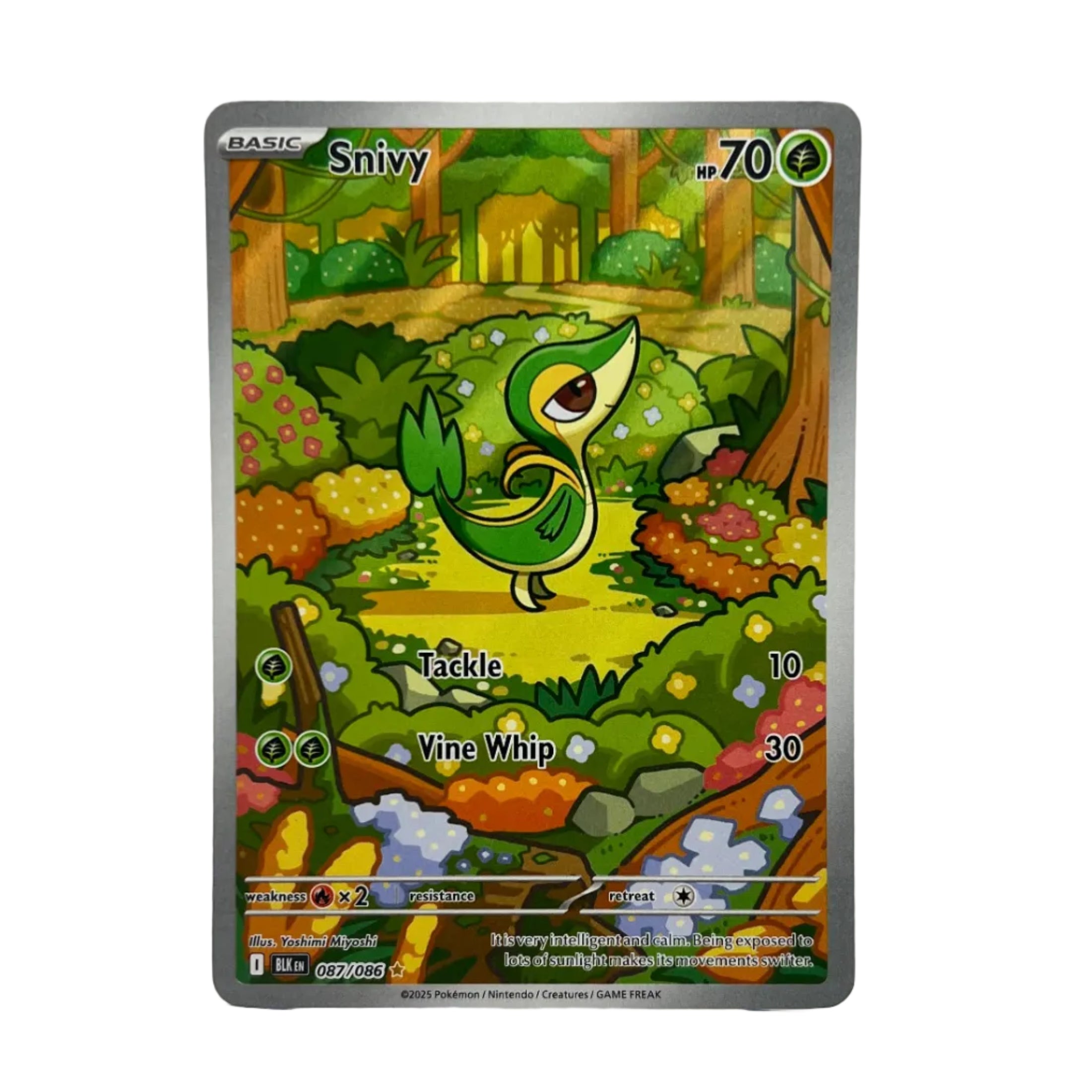 Snivy - 087/086